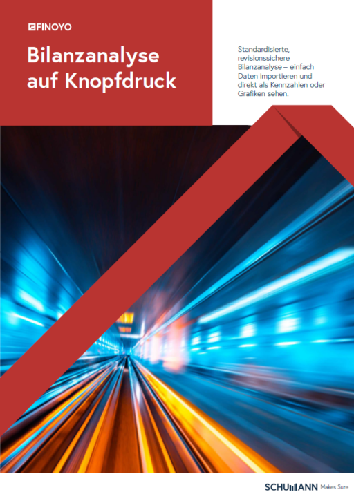 FINOYO Bilanzanalyse software kreditmanagement
