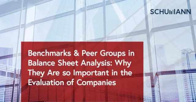 Benchmarks Peer Groups in Balance Sheet Analysis