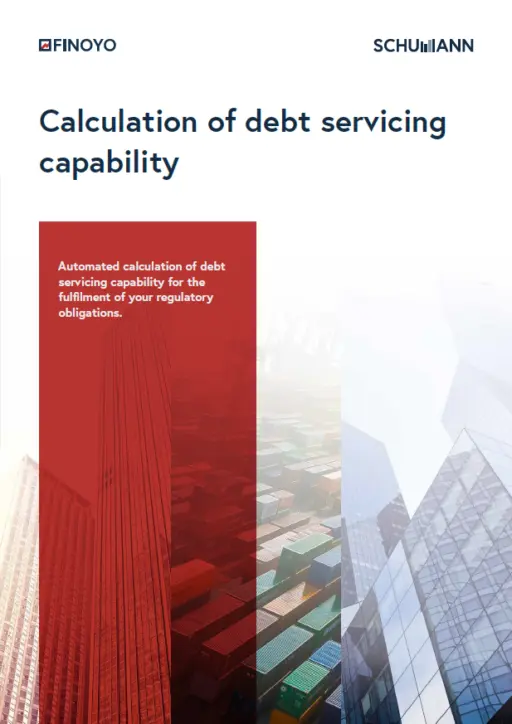 Calculation of debt servicing capability
