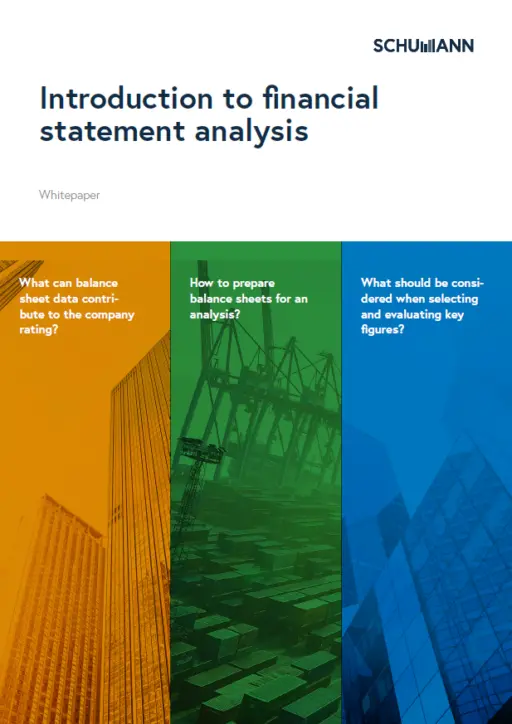Whitepaper financial statement analysis
