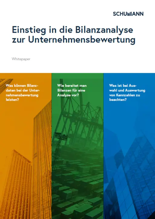 Whitepaper: Einstieg in die Bilanzanalyse zur Unternehmensbewertung