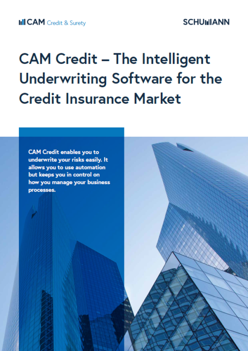 CAM Credit Insurance Underwriting Software