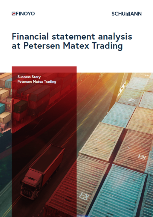 Petersen Matex financial statement analysis