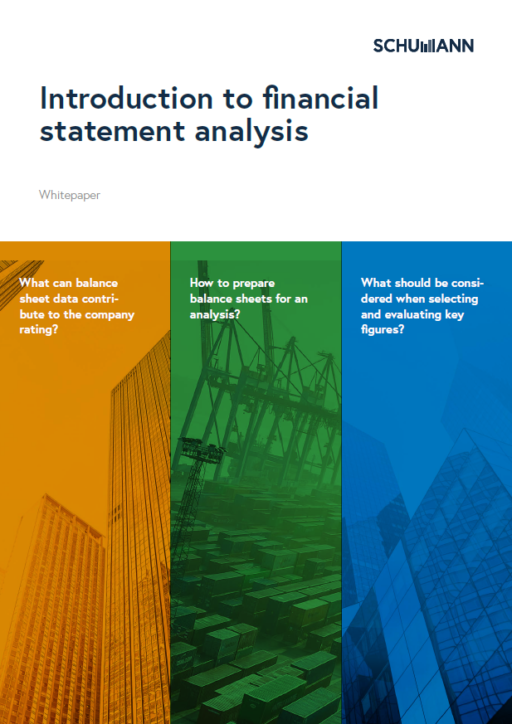 Whitepaper financial statement analysis