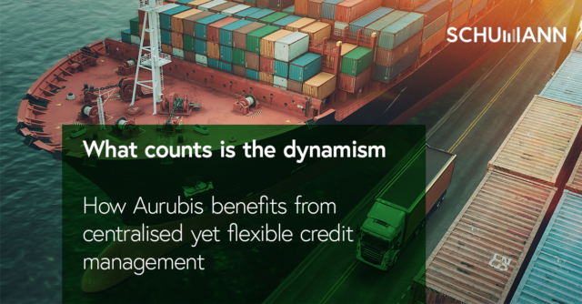 Aurubis credit management software success