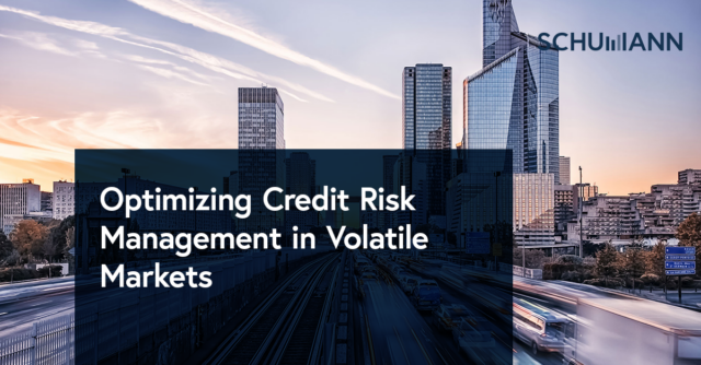Optimizing Credit Risk Management in Volatile Markets