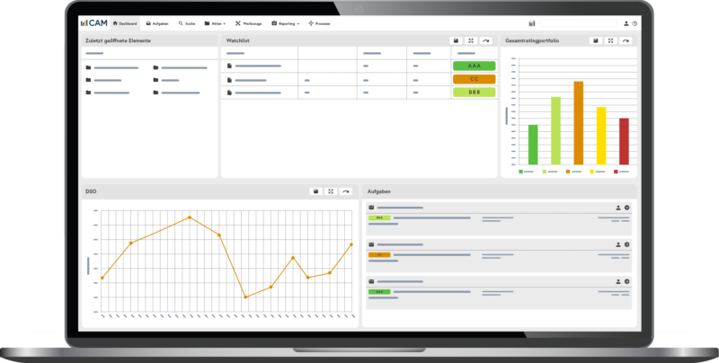 Notebook CAM Financial Services DE