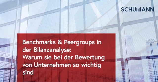 Benchmarks Peergroups in der Bilanzanalyse