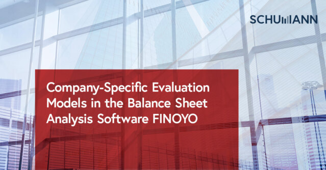 Company Specific Evaluation Models in the Balance Sheet Analysis Software FINOYO