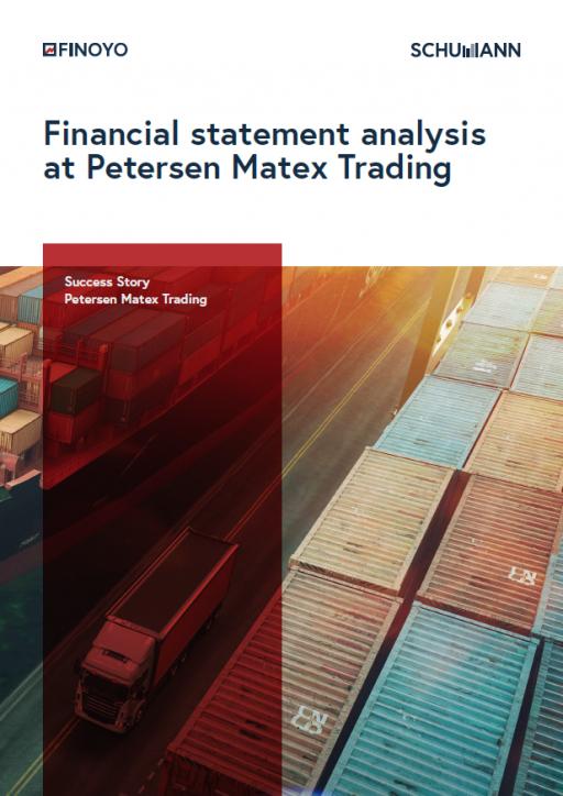 Petersen Matex financial statement analysis