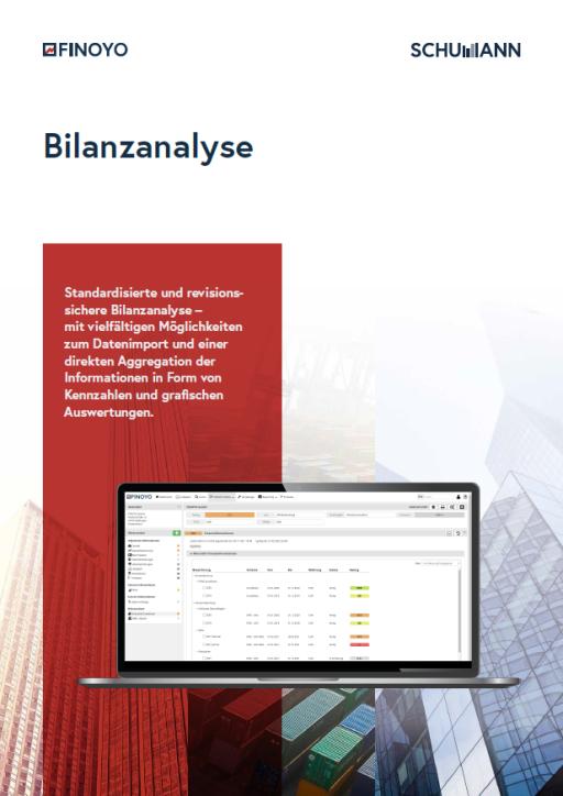 FINOYO Bilanzanalyse software