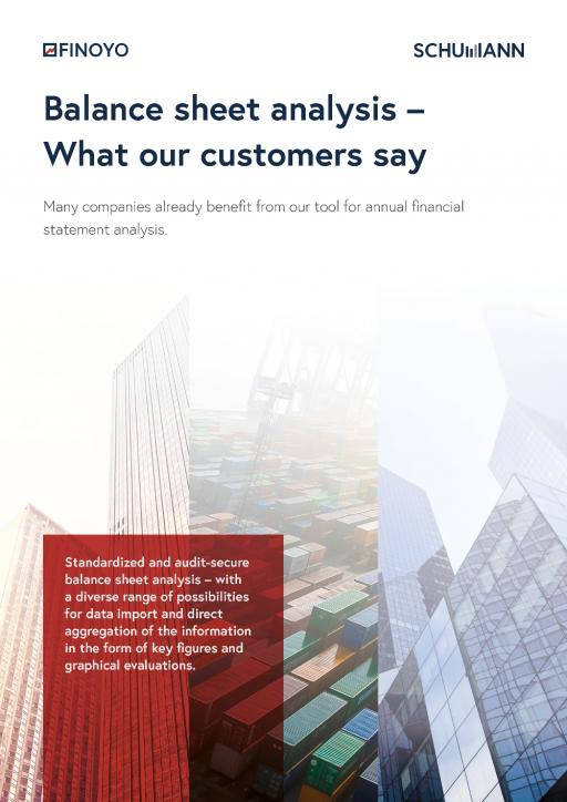 FINOYO customer financial statement analysis2