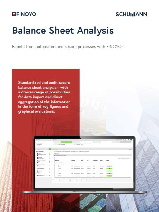 FINOYO Balance Sheet Analysis