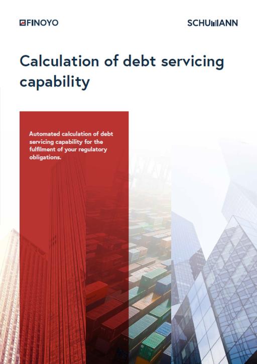 Calculation of debt servicing capability