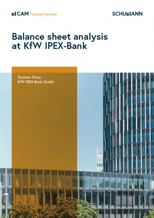 Kf W Balance sheet analysis tool