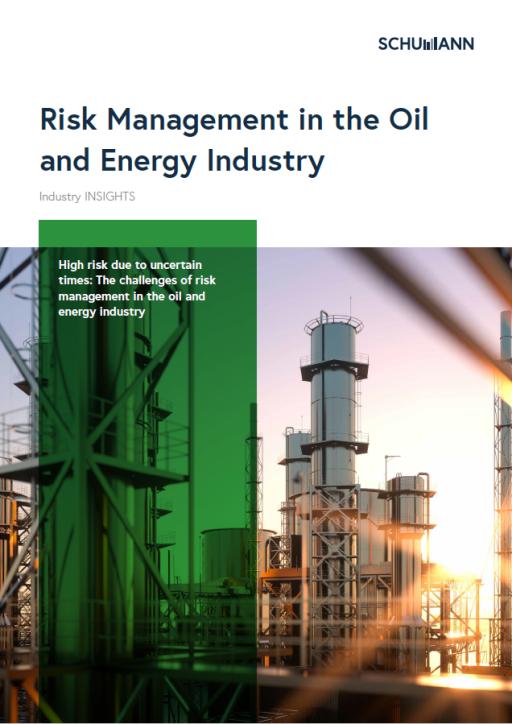 Risk Managemt in the Oil and Energy Industry