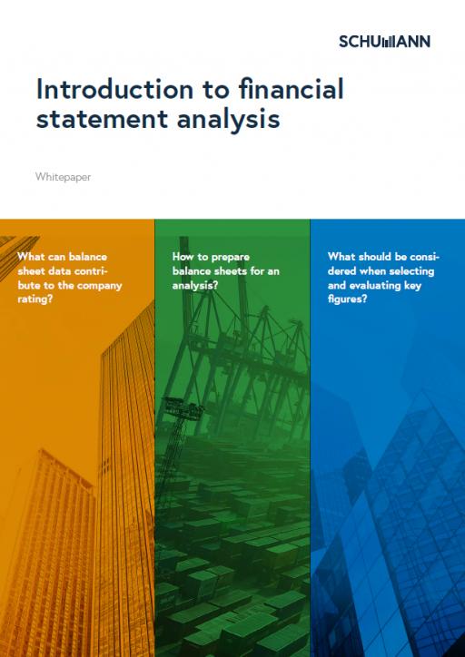 Whitepaper financial statement analysis