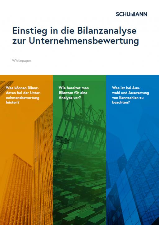 Whitepaper: Einstieg in die Bilanzanalyse zur Unternehmensbewertung