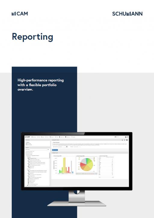 Reporting credit management