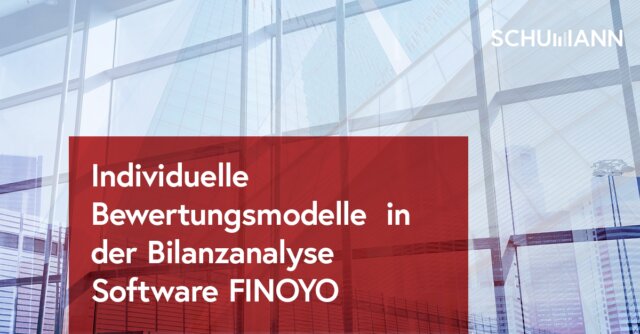 Individuelle Bewertungsmodelle in der Bilanzanalyse Software FINOYO